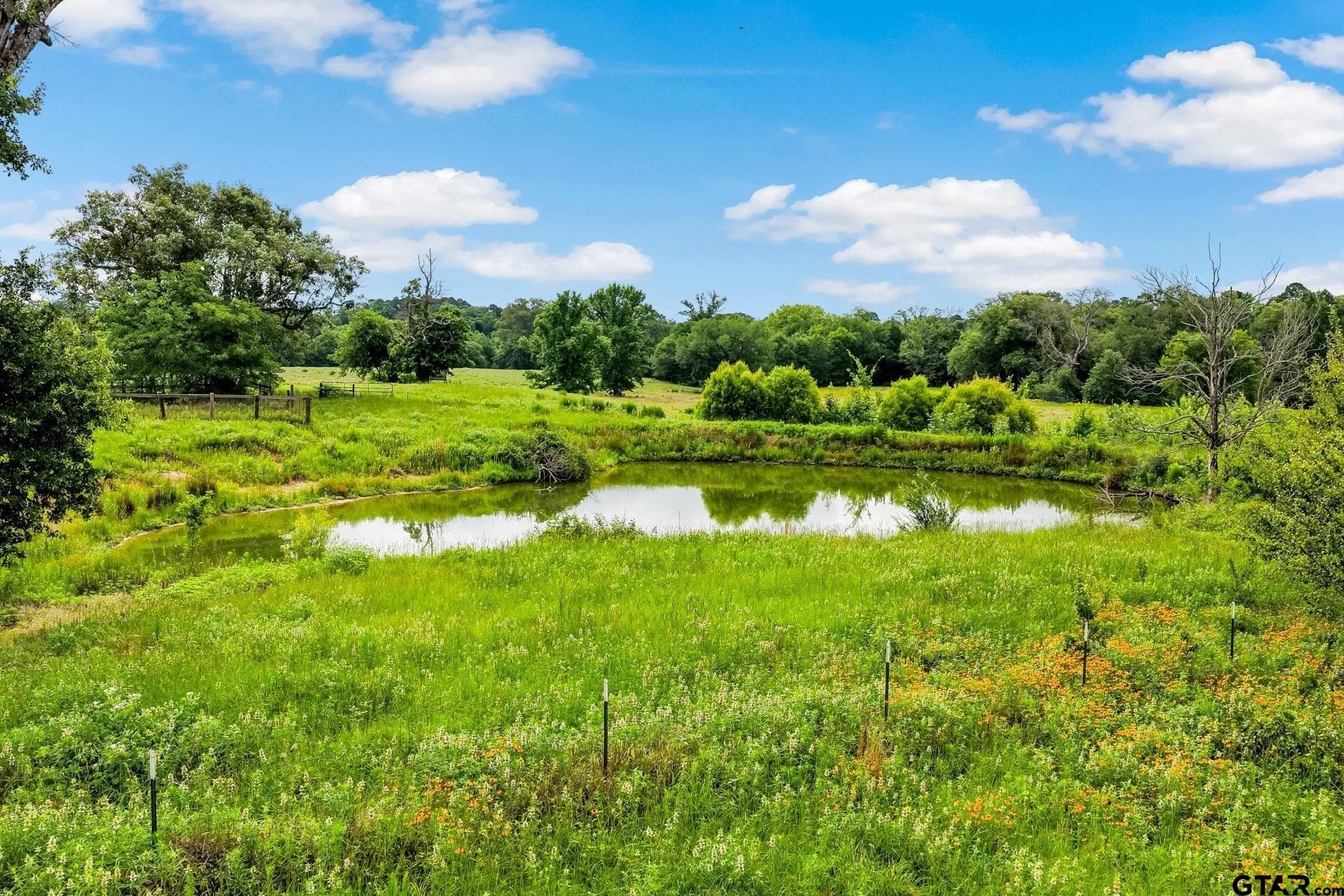 221.4 acres in Titus County - photo 11