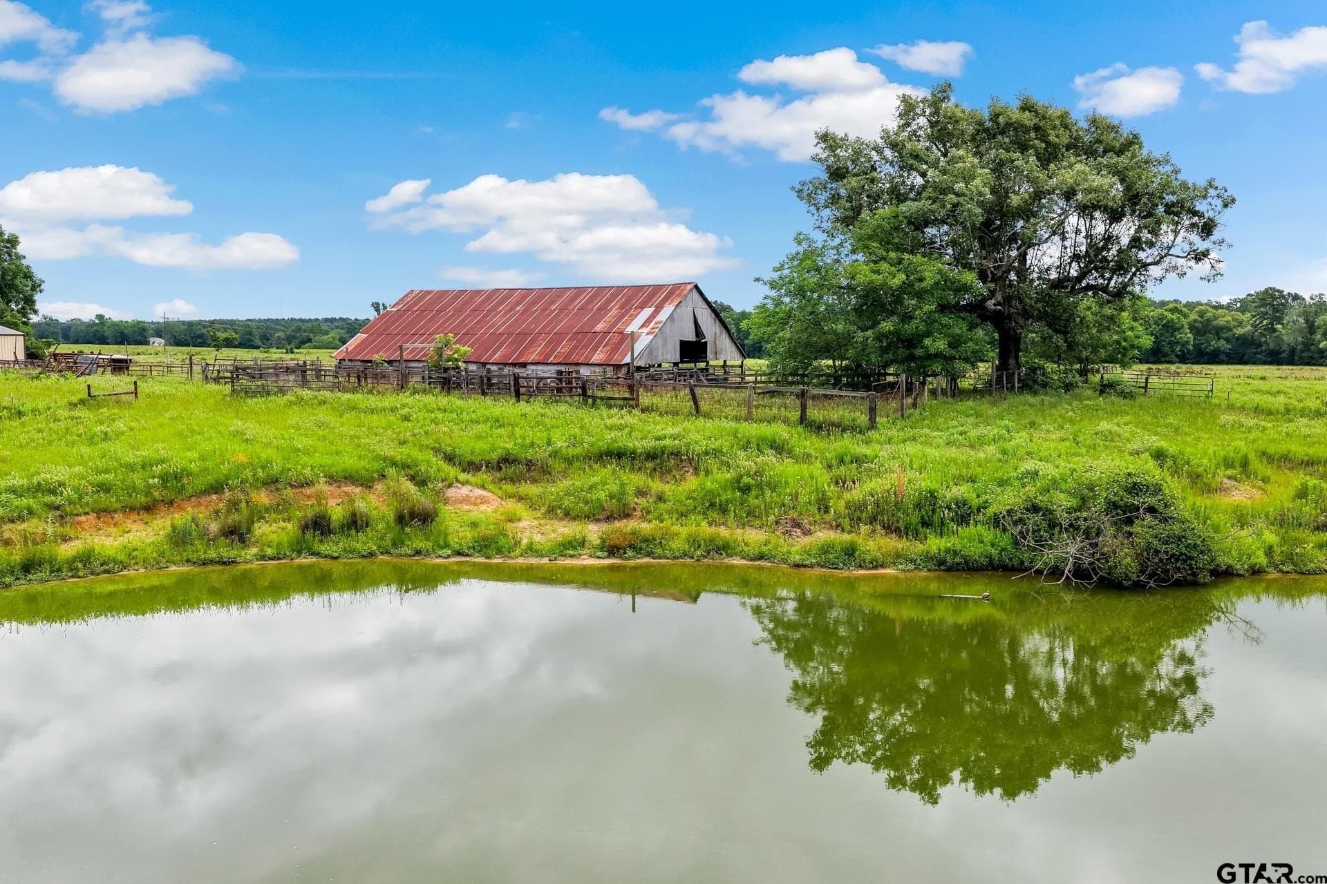 221.4 acres in Titus County - photo 10