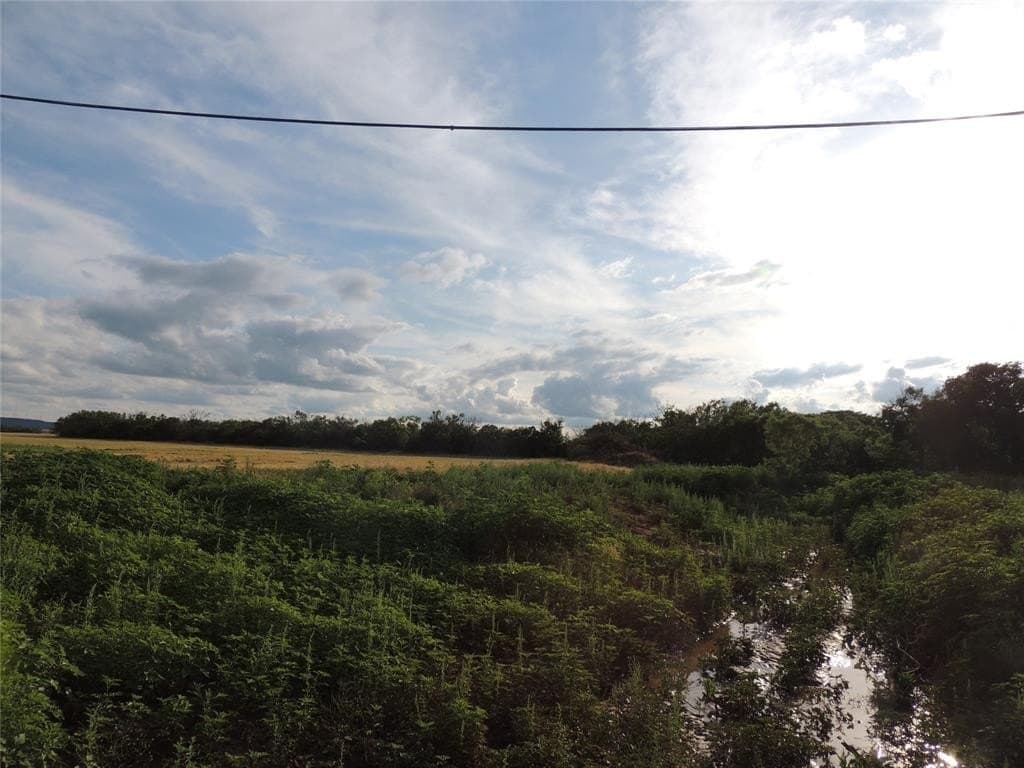 157 acres in Taylor County featured view