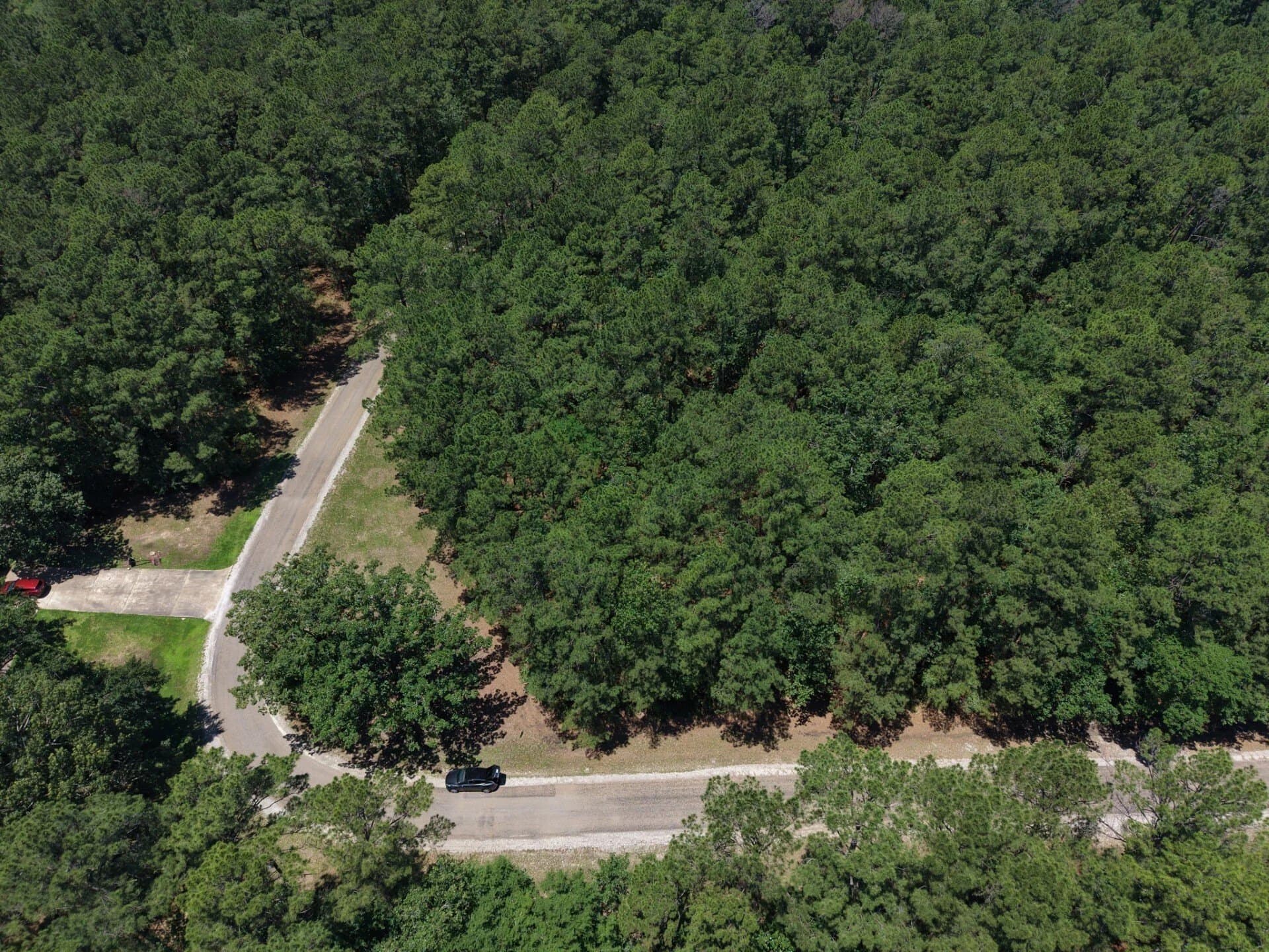 0.47 acres in Trinity County gallery image 4