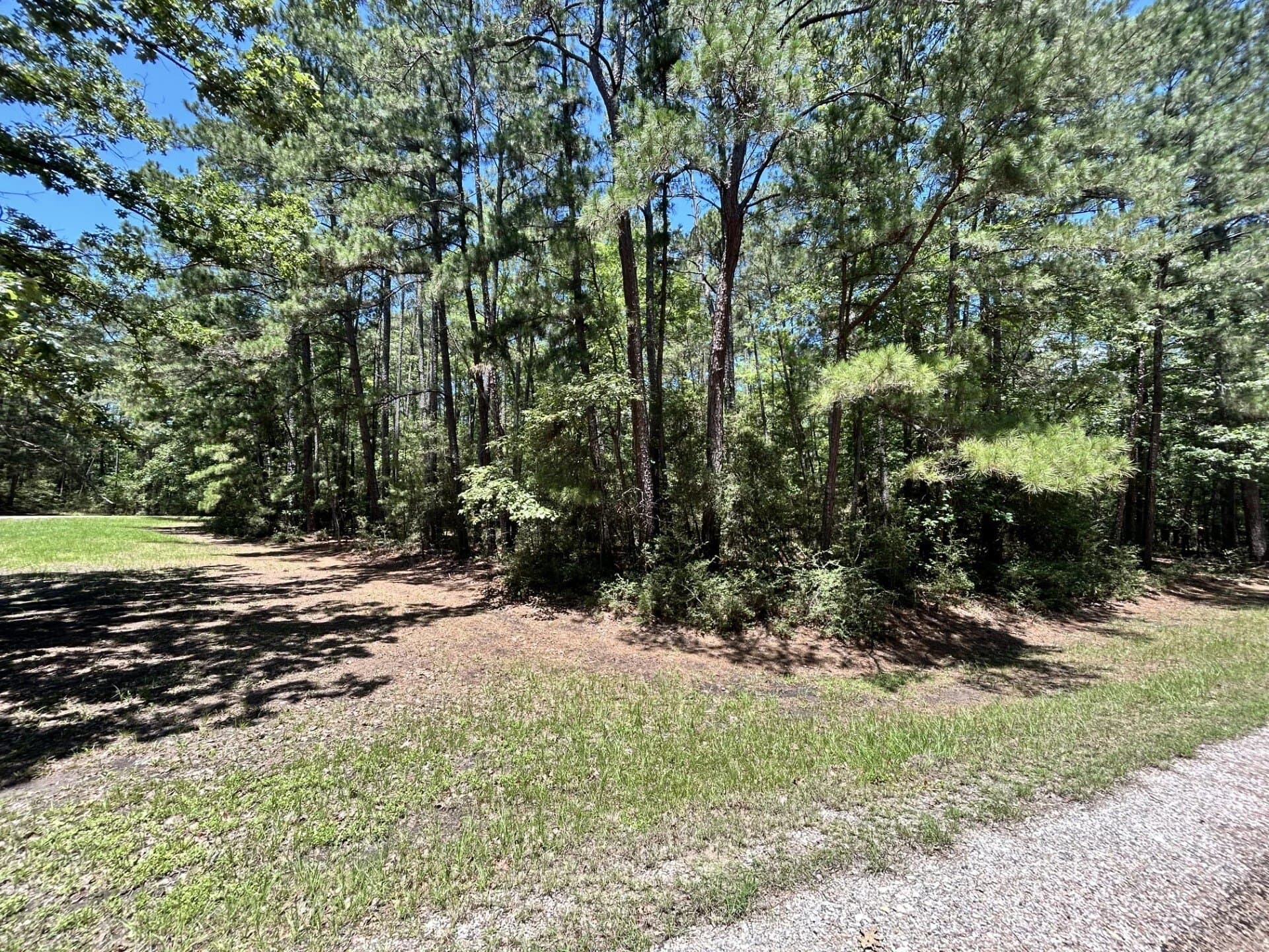 0.47 acres in Trinity County - photo 10