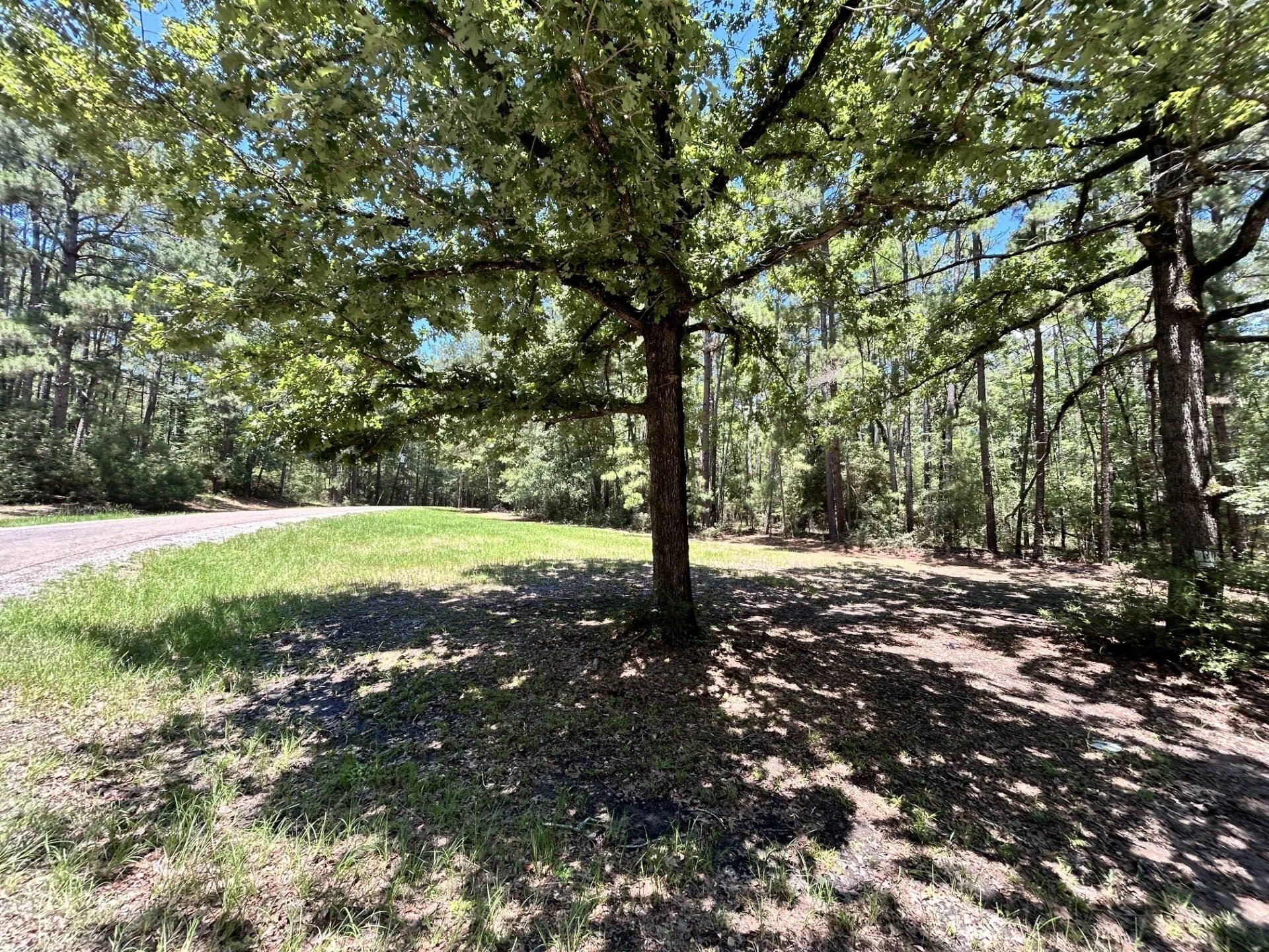 0.47 acres in Trinity County - photo 12