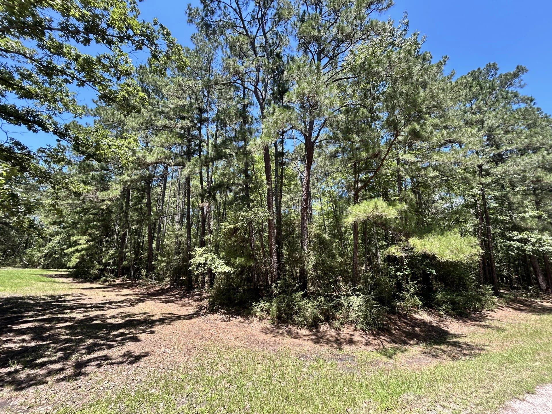 0.47 acres in Trinity County - photo 11