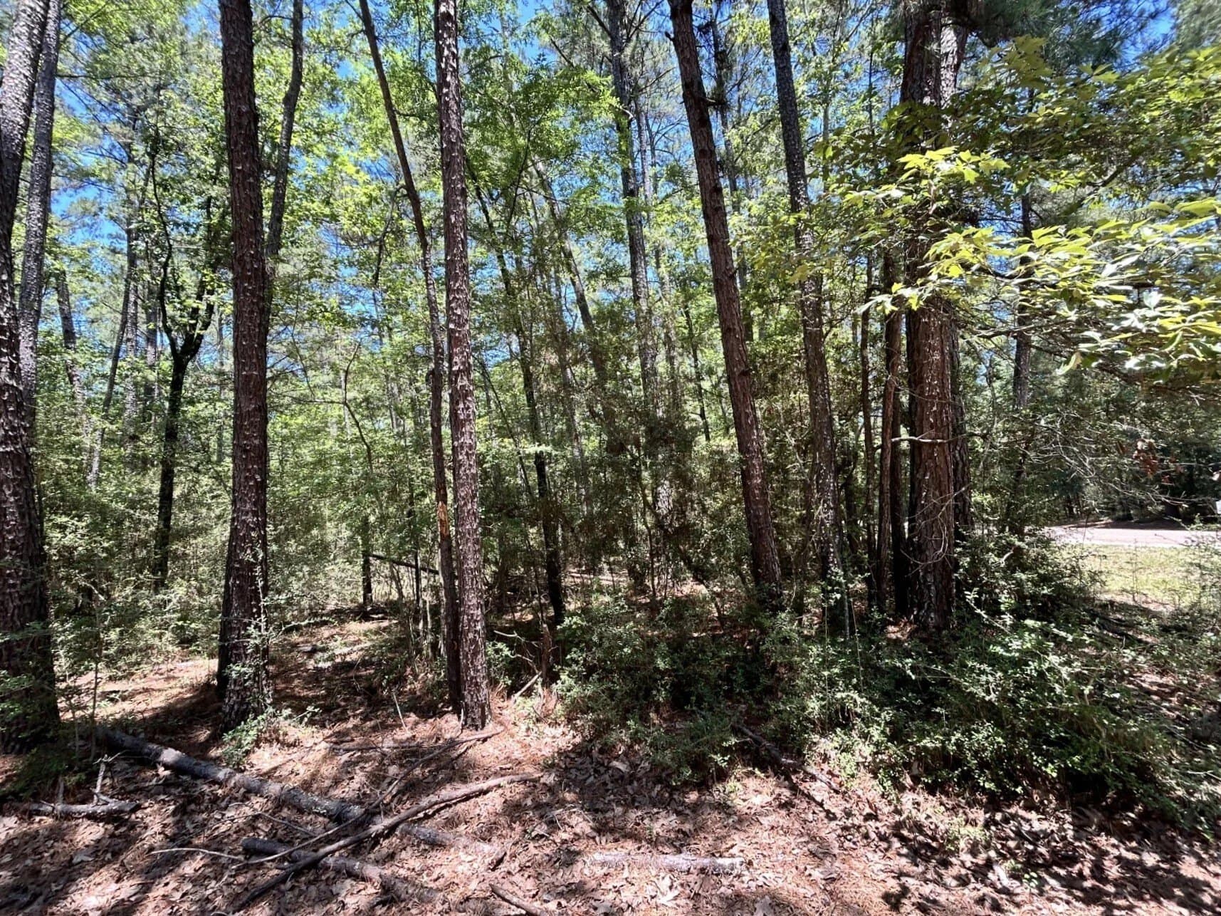 0.47 acres in Trinity County - photo 14