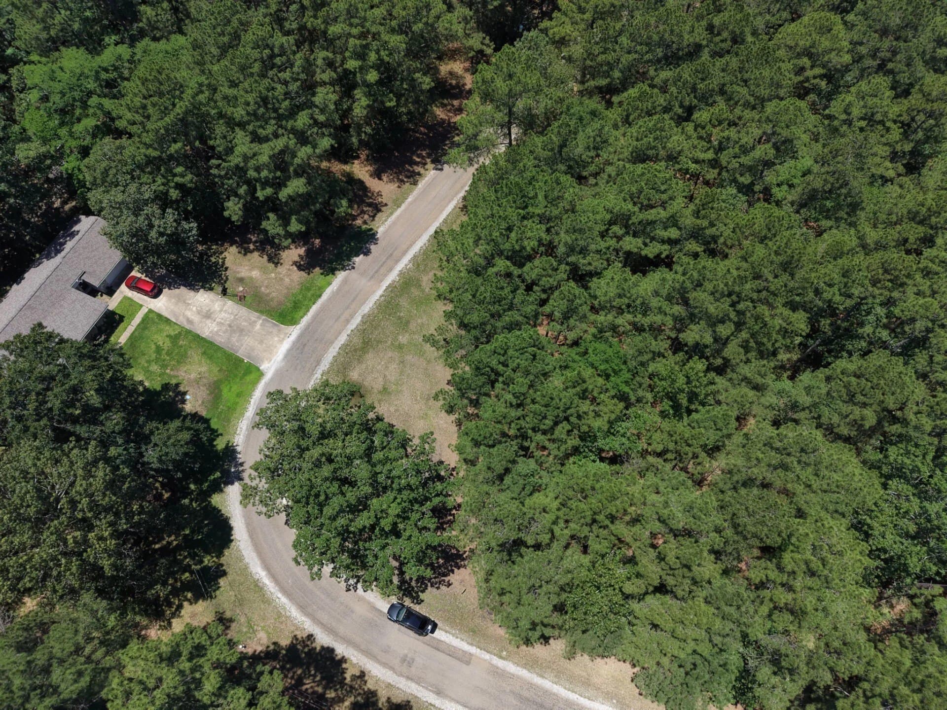 0.47 acres in Trinity County - photo 6