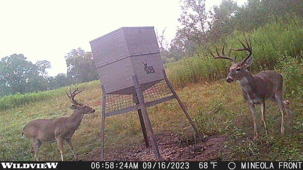 275 acres in Wood County - photo 16