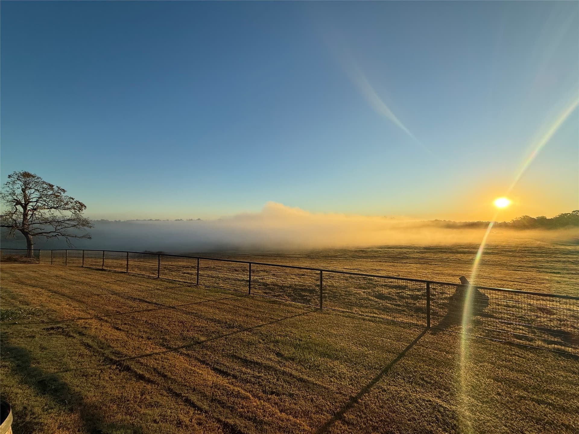 275 acres in Wood County - photo 2