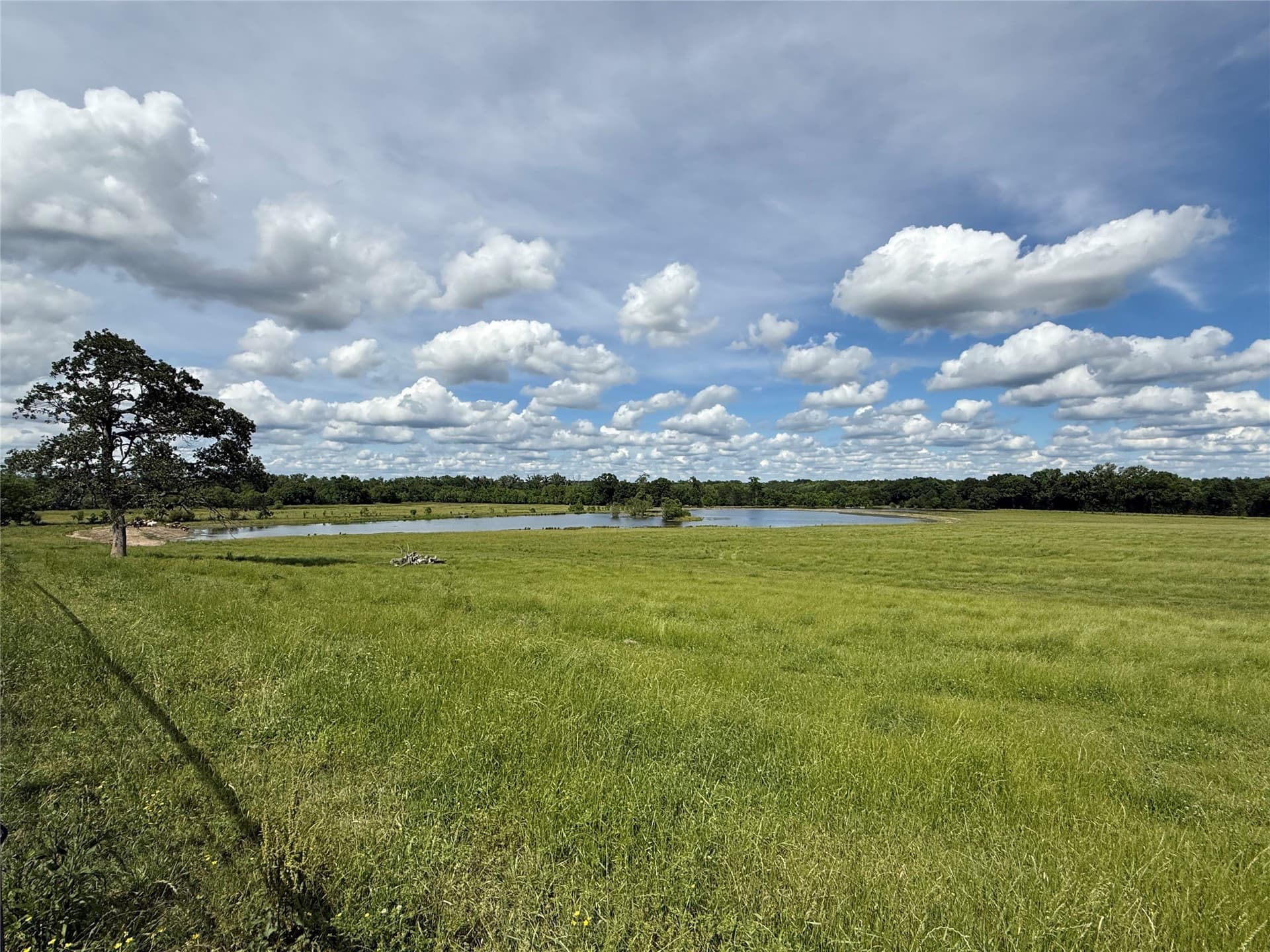 275 acres in Wood County - photo 9
