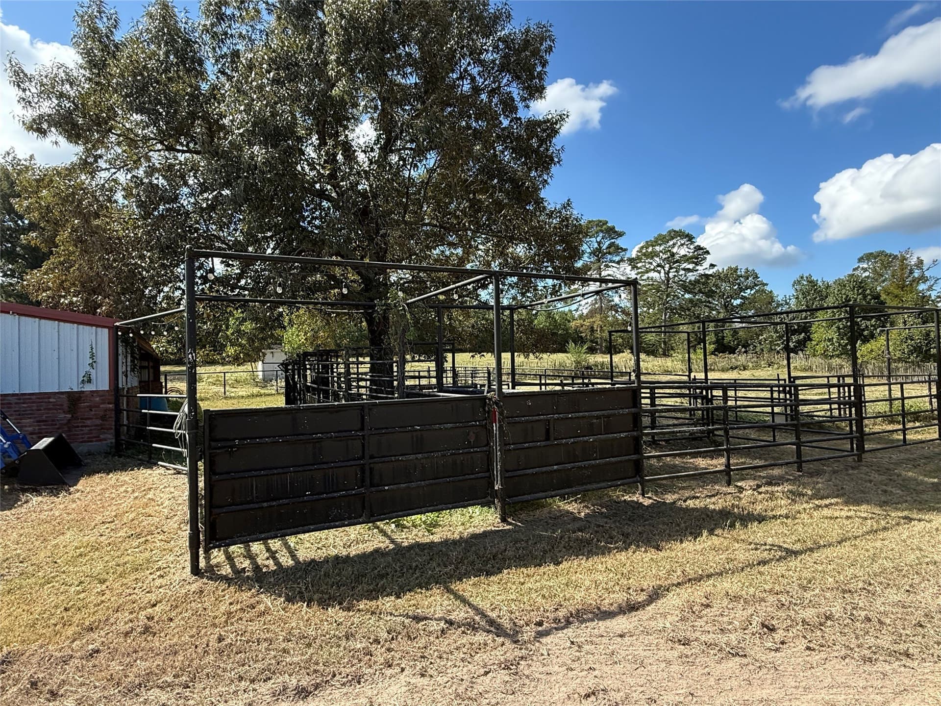 275 acres in Wood County - photo 26