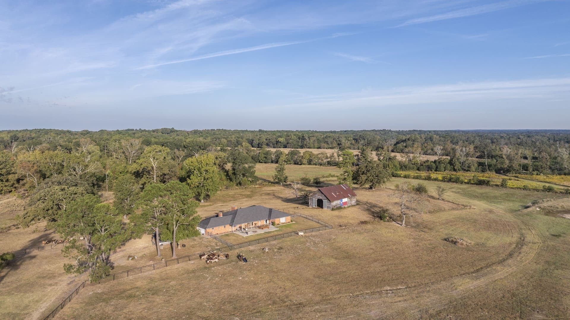 275 acres in Wood County - photo 4