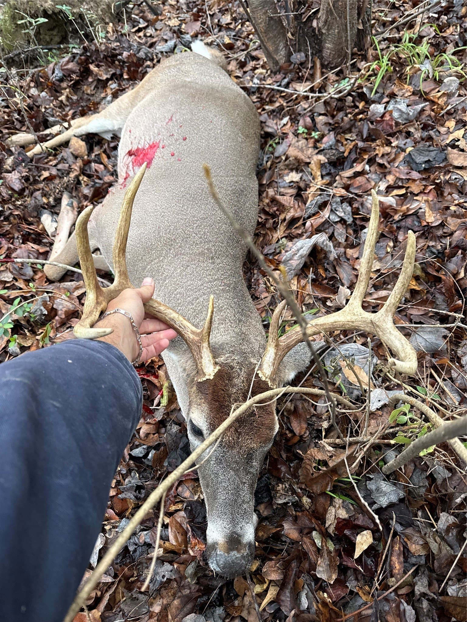 275 acres in Wood County - photo 18