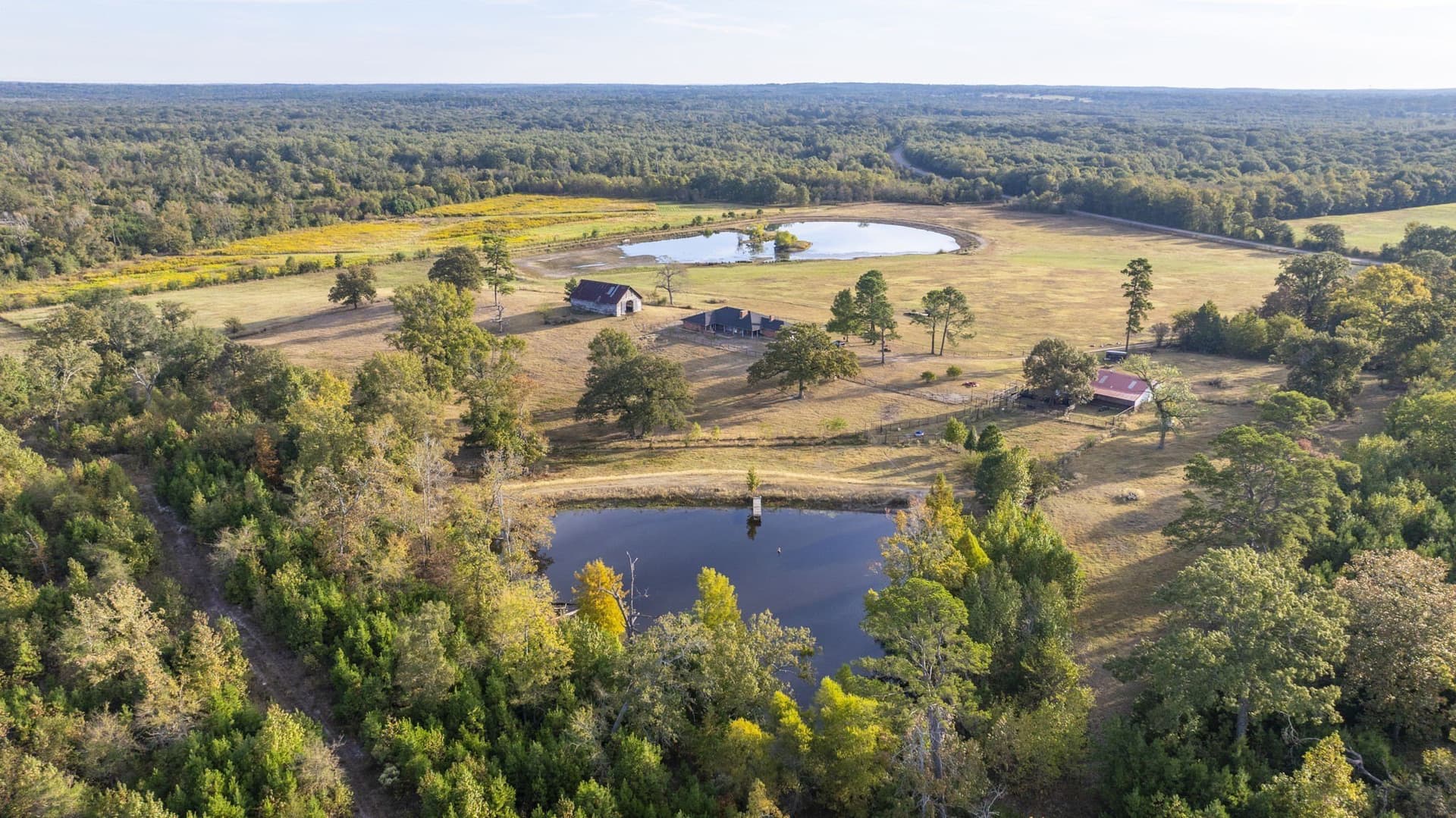 275 acres in Wood County