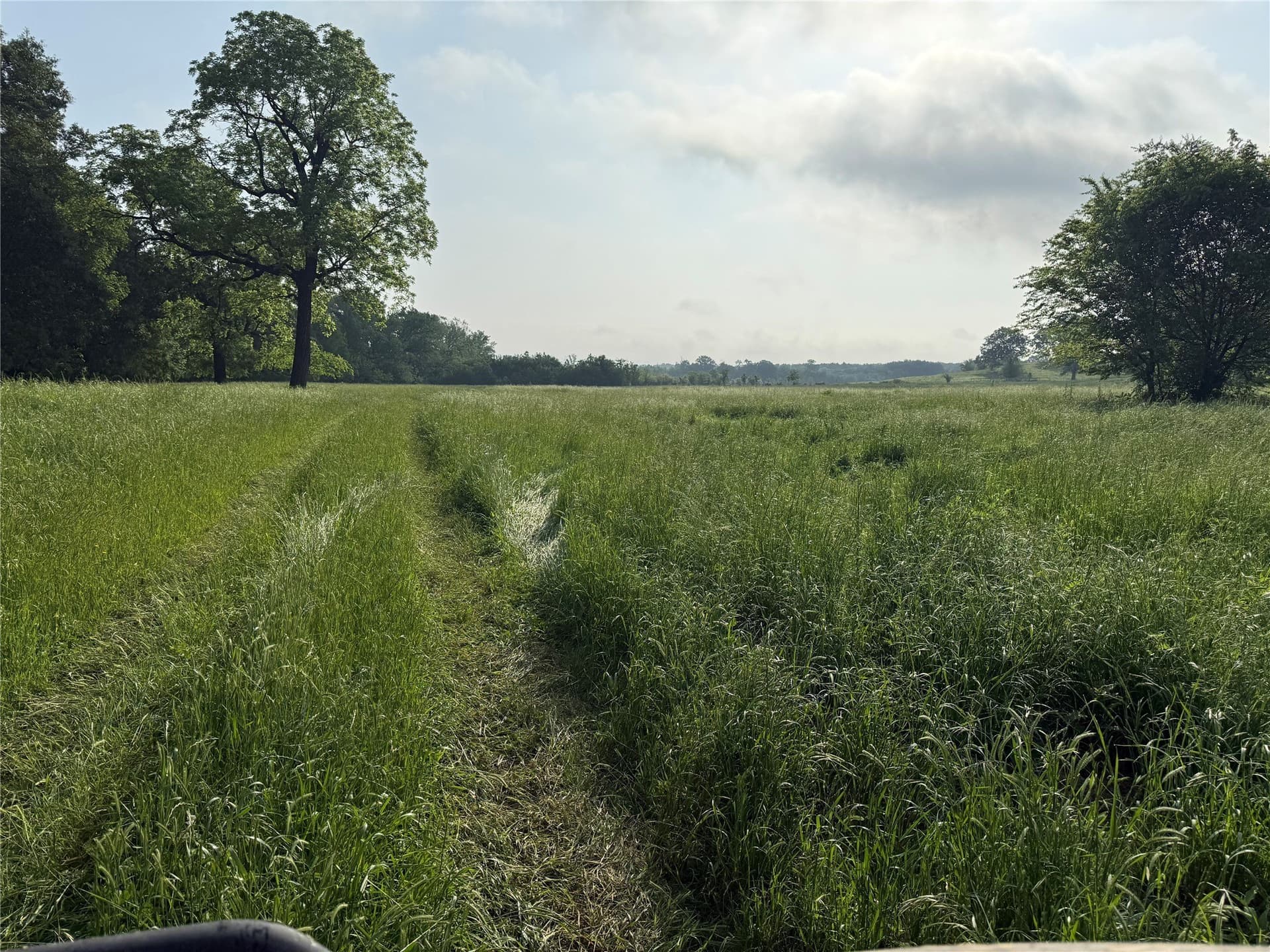 275 acres in Wood County - photo 10