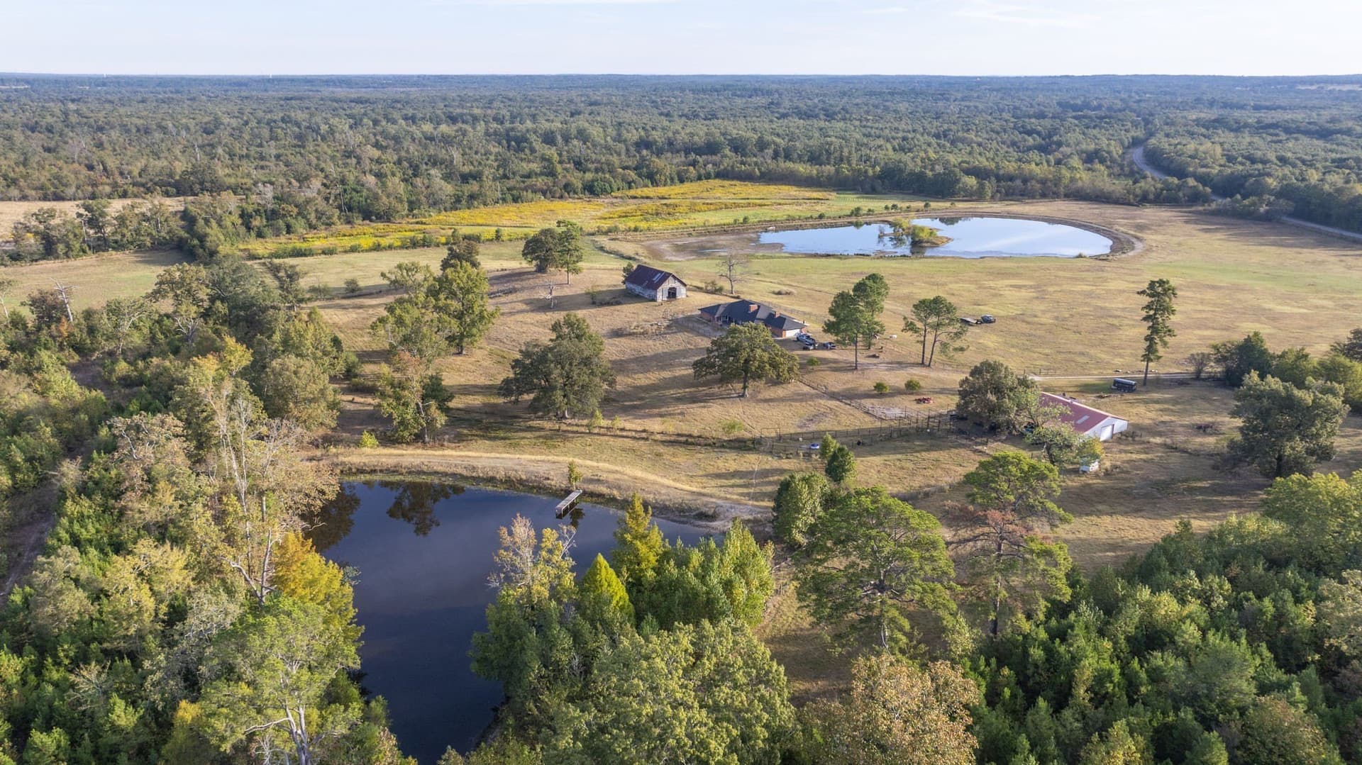 275 acres in Wood County - photo 8