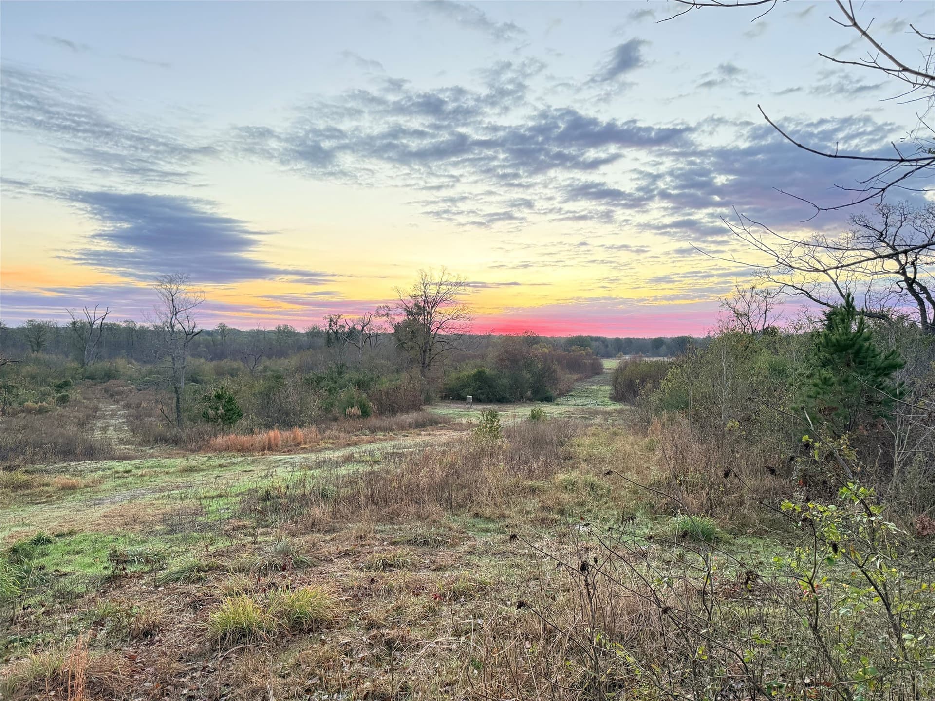 275 acres in Wood County - photo 3