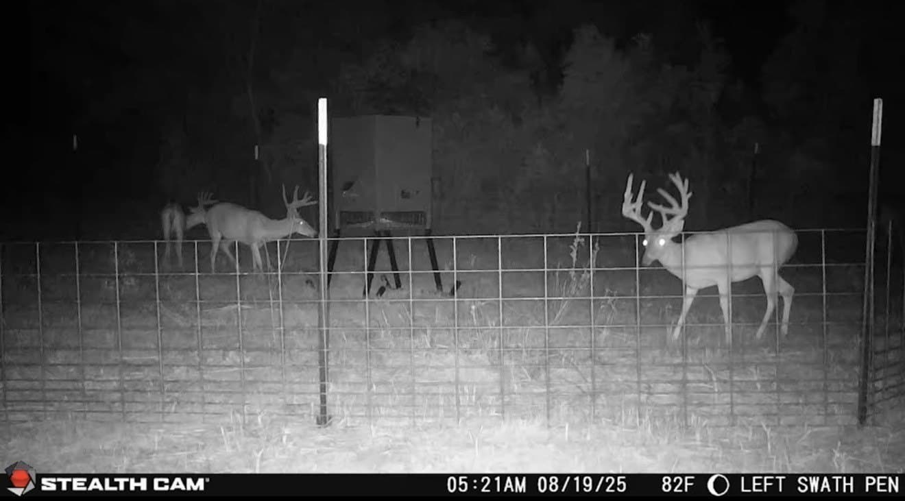 275 acres in Wood County - photo 14