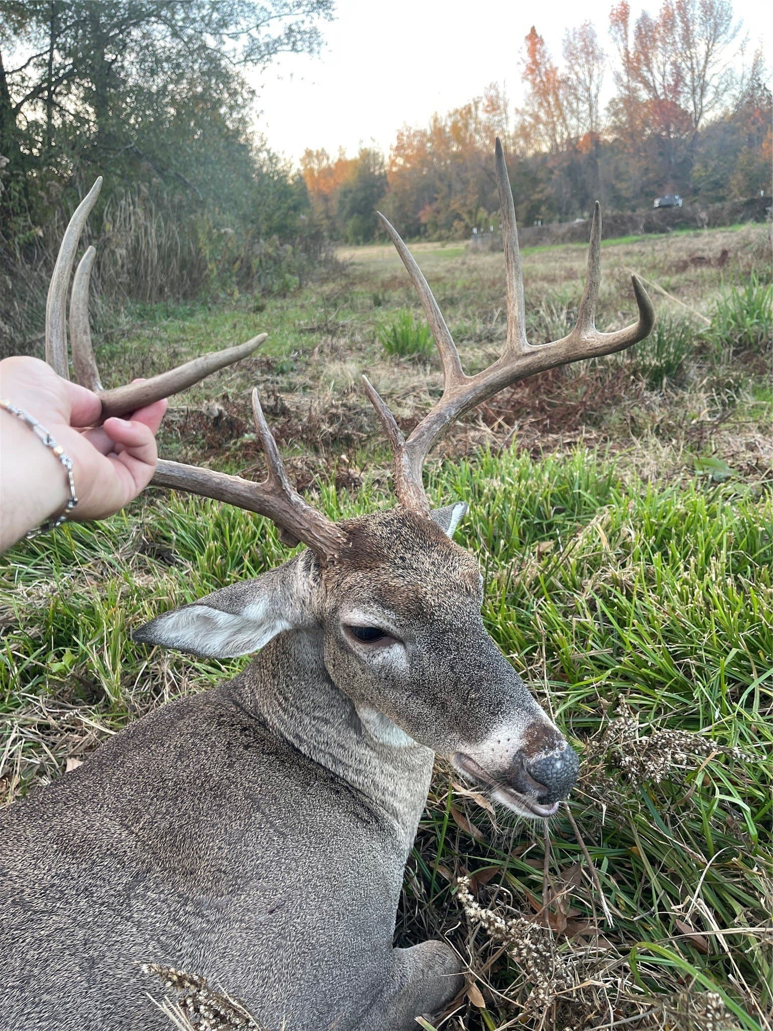 275 acres in Wood County - photo 19