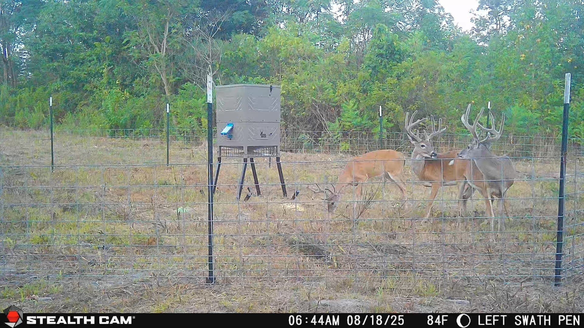 275 acres in Wood County - photo 15