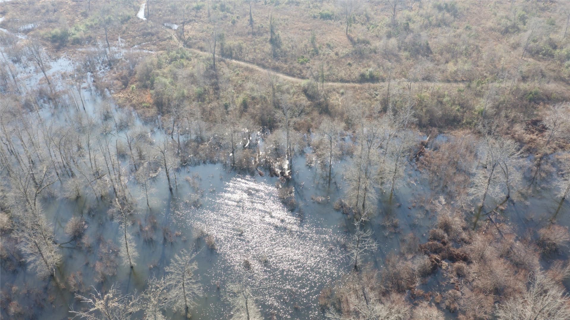 275 acres in Wood County - photo 12