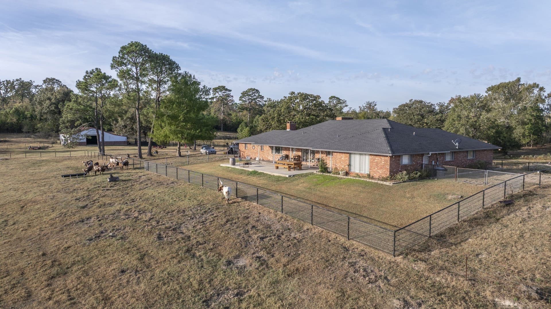275 acres in Wood County - photo 5