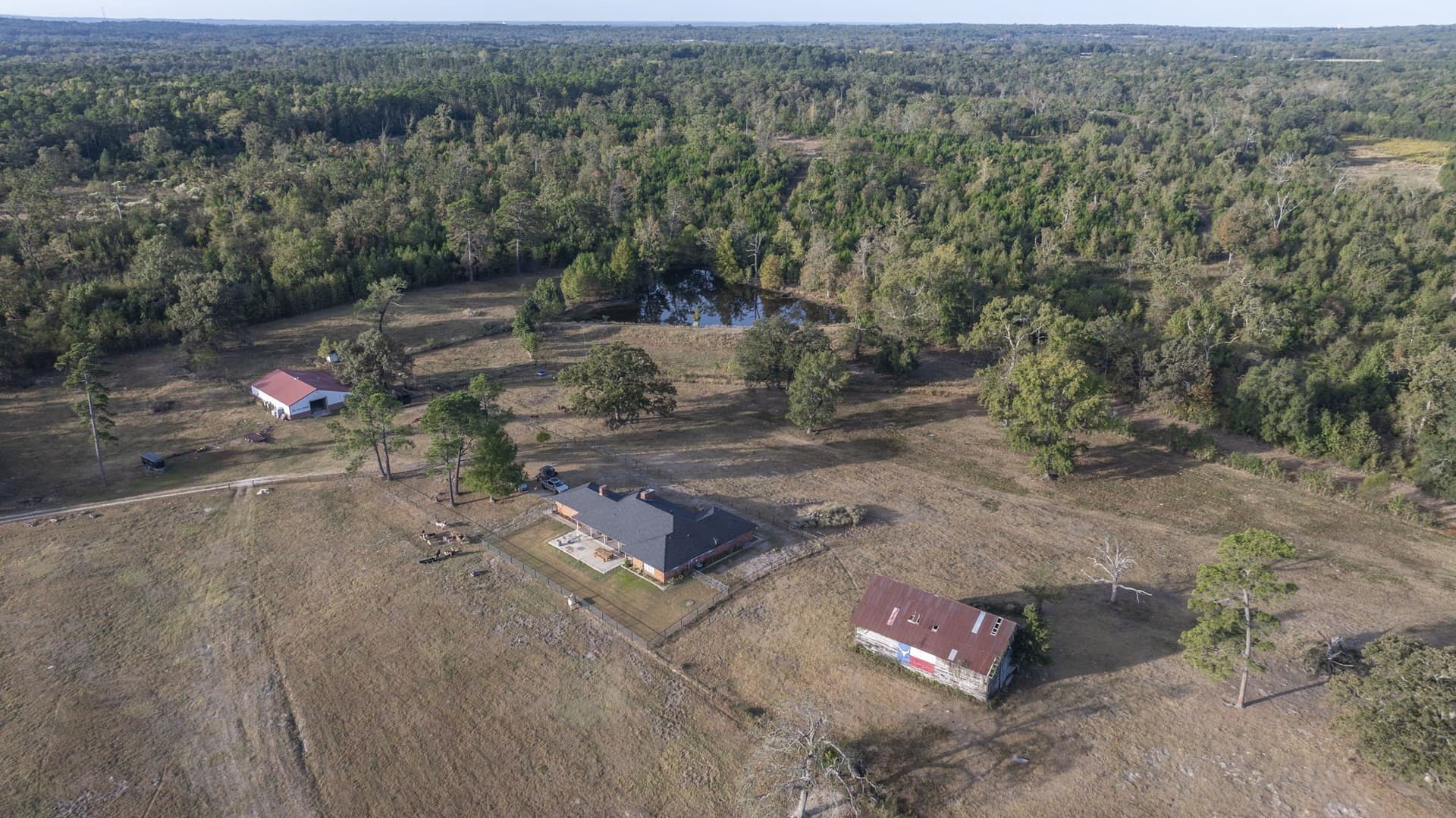 275 acres in Wood County - photo 6