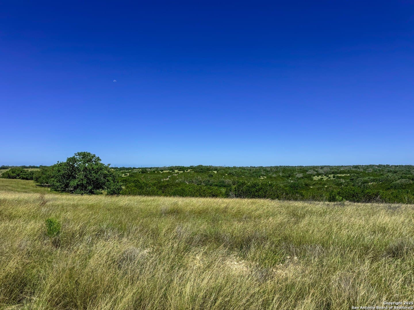 3.2 acres in Gillespie County gallery image 3