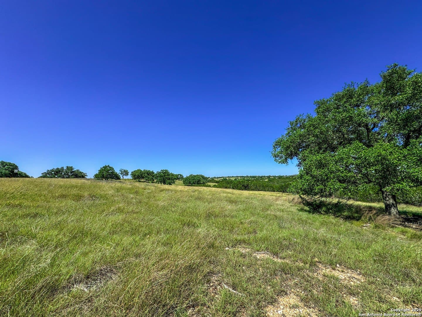 3.2 acres in Gillespie County gallery image 2