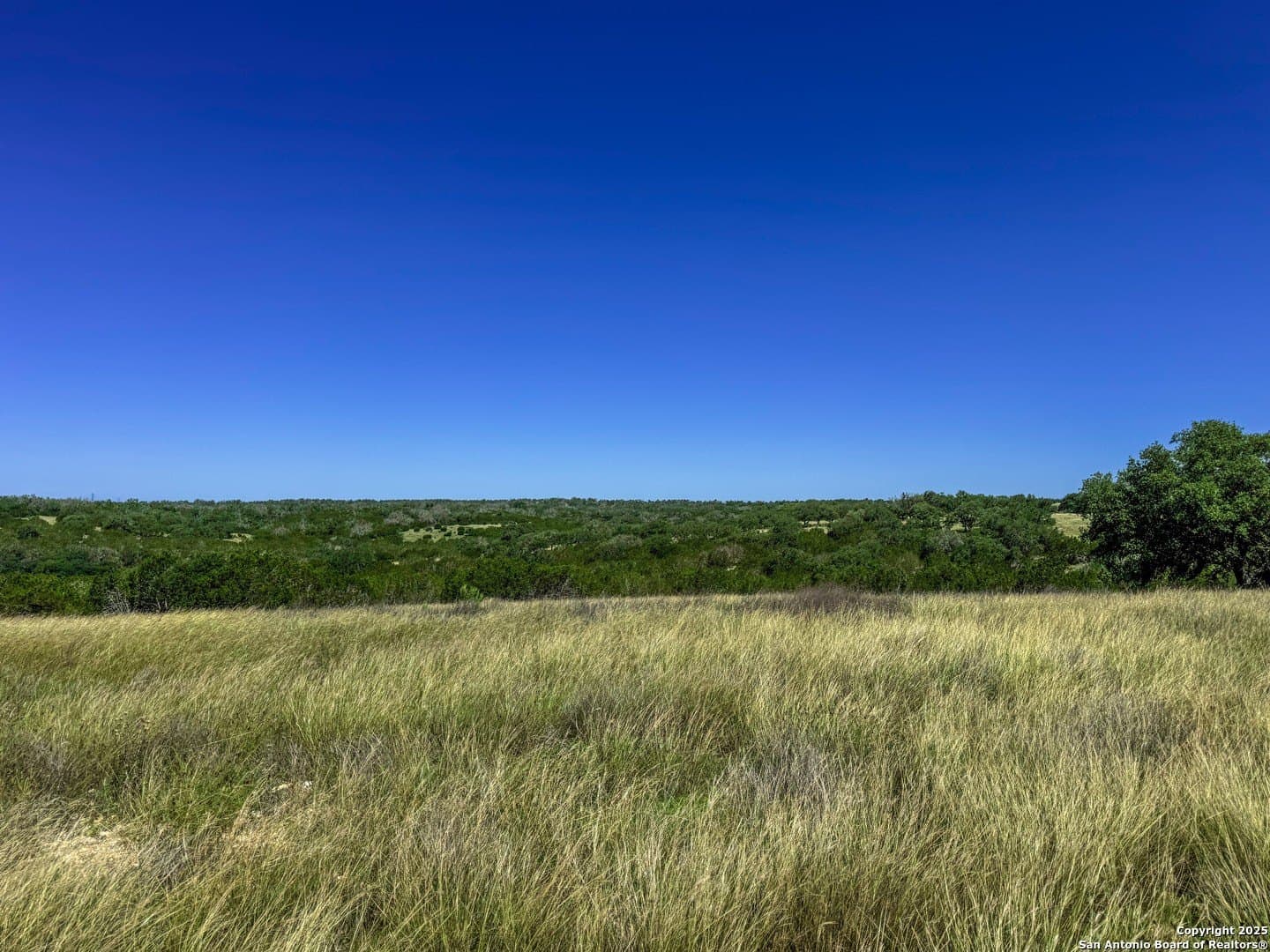 3.2 acres in Gillespie County gallery image 4