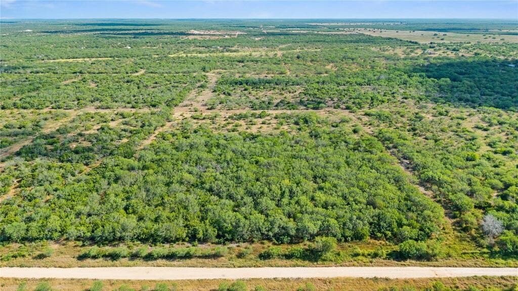13.15 acres in Jim Wells County - photo 29