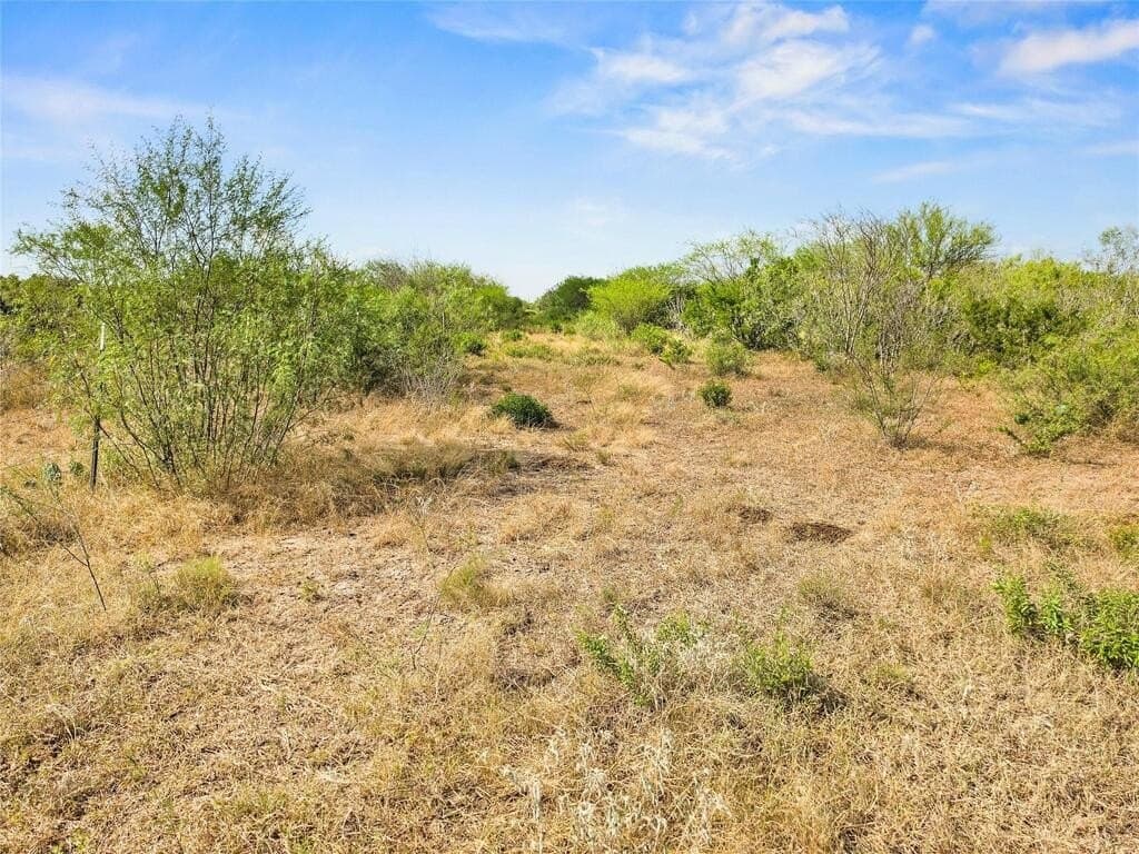 13.15 acres in Jim Wells County - photo 12