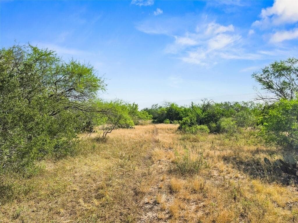 13.15 acres in Jim Wells County - photo 10