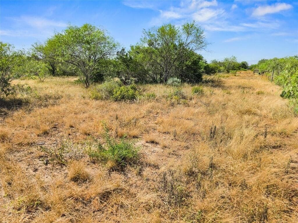 13.15 acres in Jim Wells County - photo 14