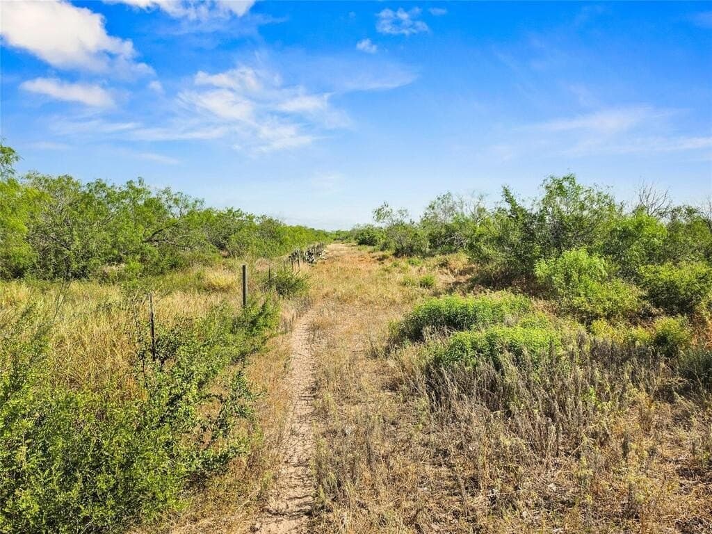 13.15 acres in Jim Wells County - photo 15