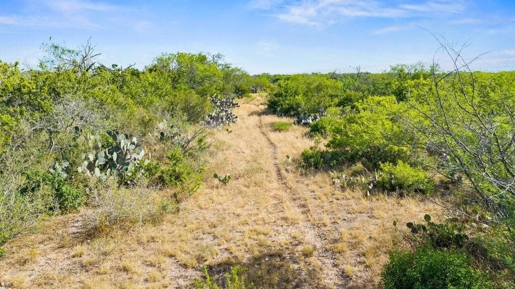 13.15 acres in Jim Wells County - photo 18