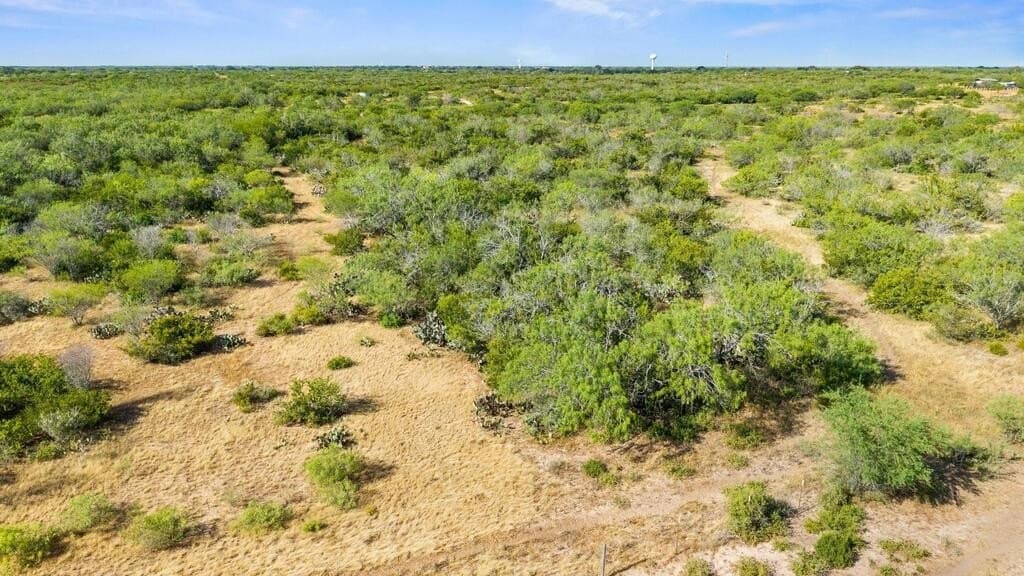 13.15 acres in Jim Wells County - photo 21