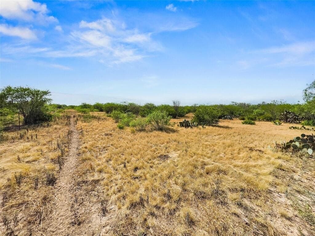 13.15 acres in Jim Wells County - photo 6