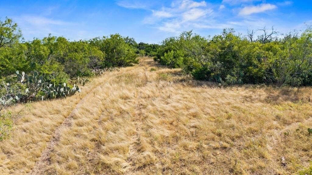 13.15 acres in Jim Wells County - photo 3