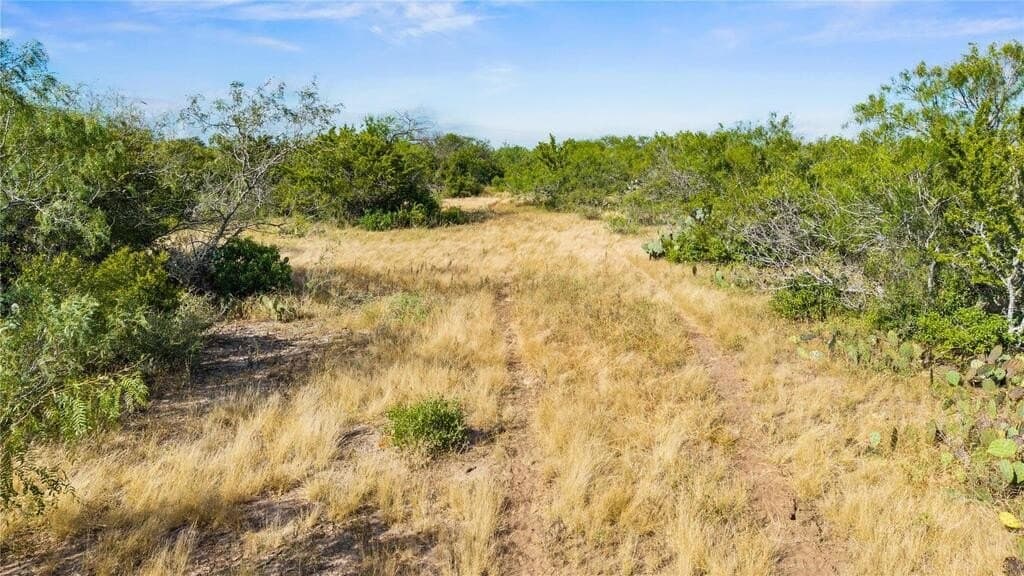 13.15 acres in Jim Wells County - photo 2