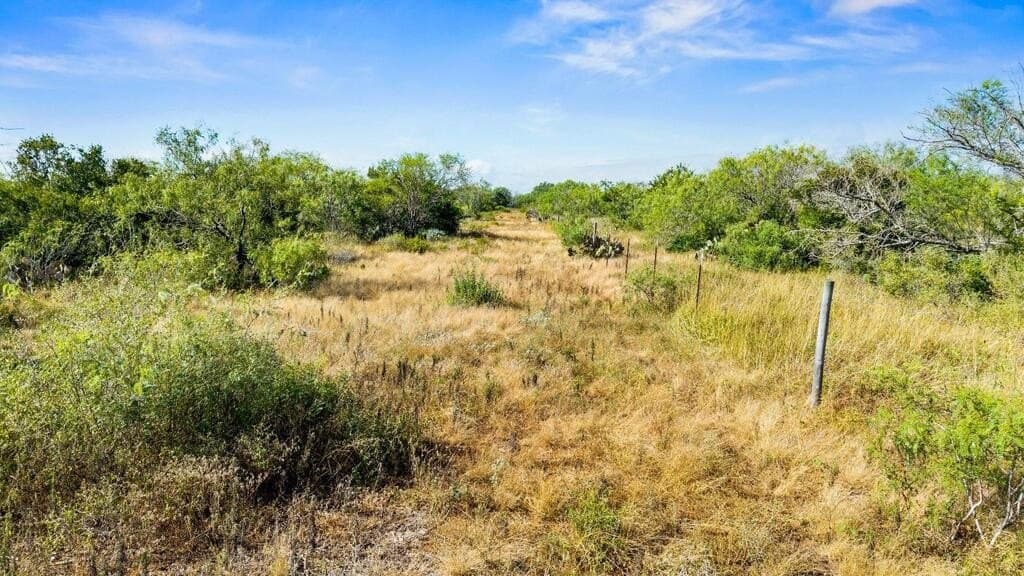 13.15 acres in Jim Wells County