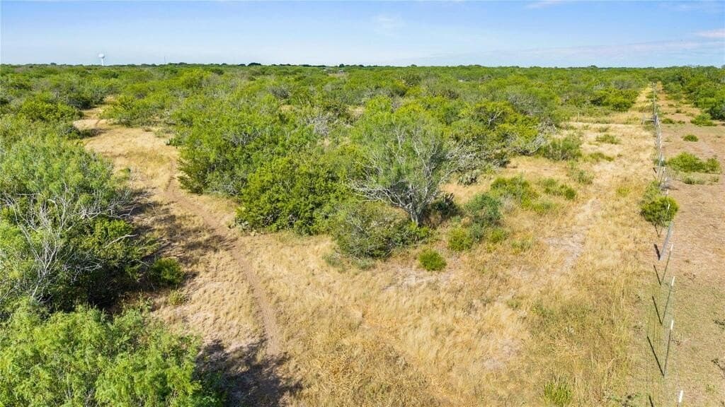 13.15 acres in Jim Wells County - photo 4