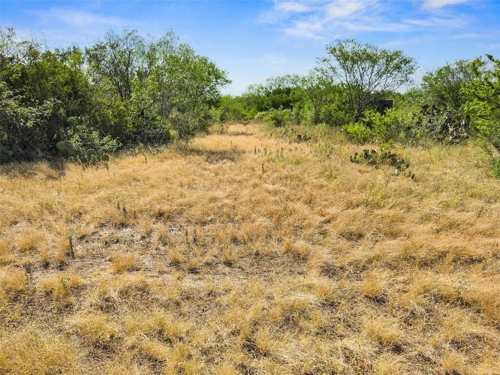 13.15 acres in Jim Wells County - photo 9