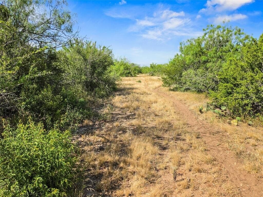 13.15 acres in Jim Wells County - photo 5