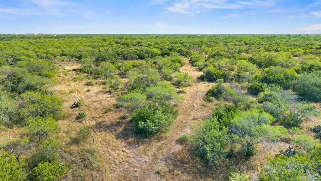 13.15 acres in Jim Wells County - photo 20