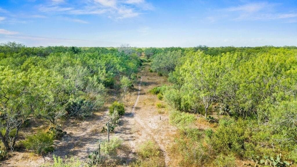 13.15 acres in Jim Wells County - photo 25