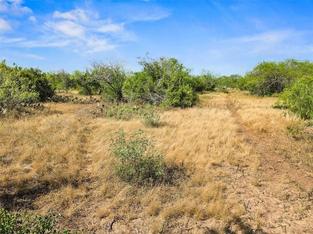 13.15 acres in Jim Wells County - photo 16