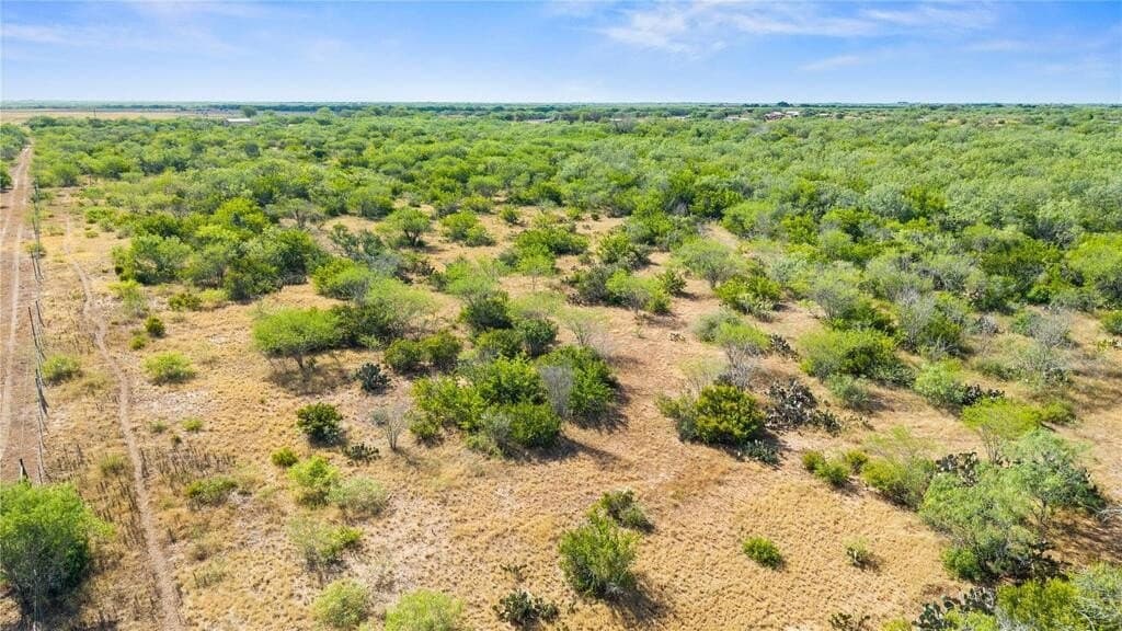 13.15 acres in Jim Wells County - photo 28