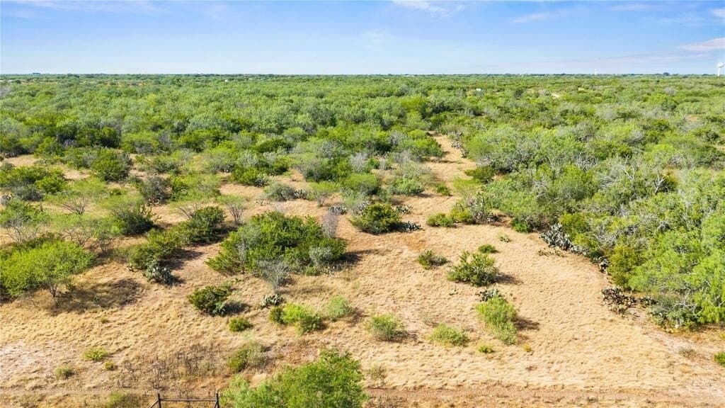 13.15 acres in Jim Wells County - photo 27