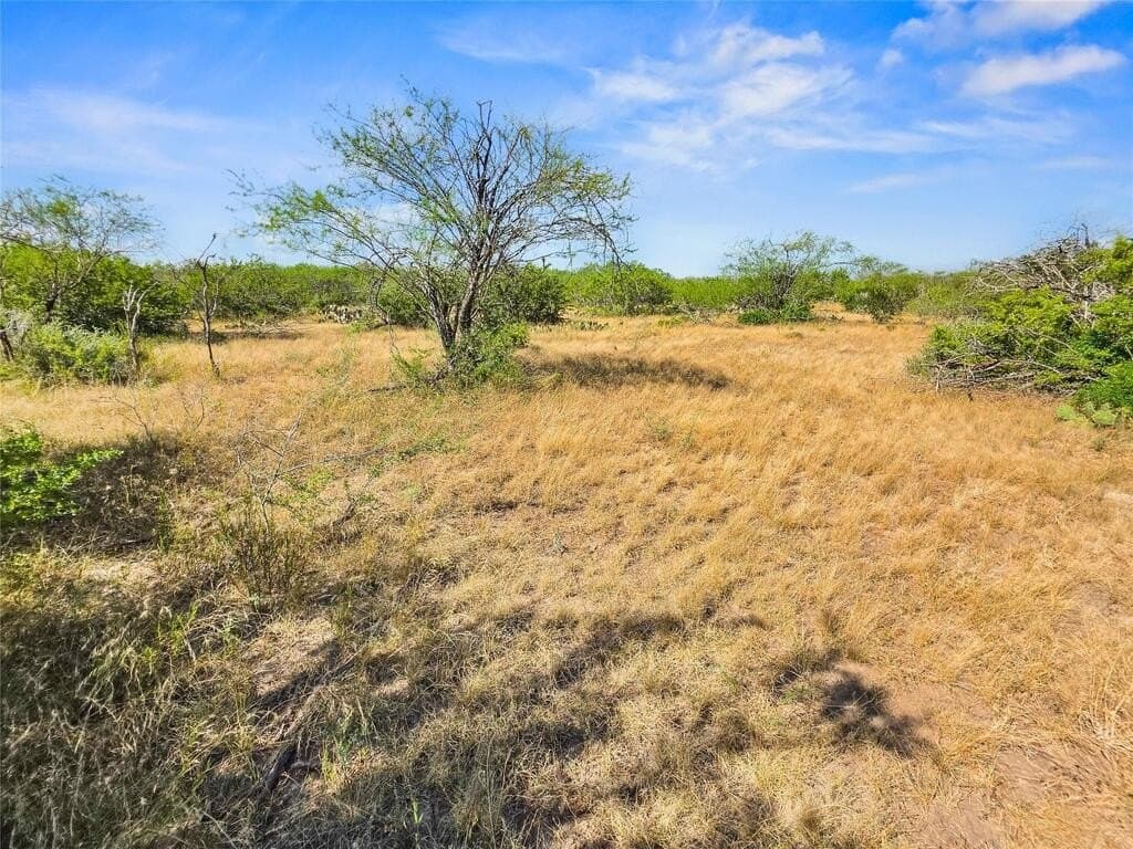 13.15 acres in Jim Wells County - photo 8