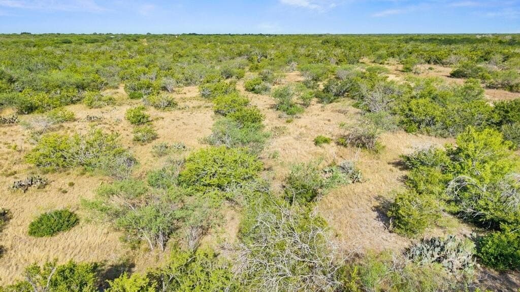 13.15 acres in Jim Wells County - photo 22