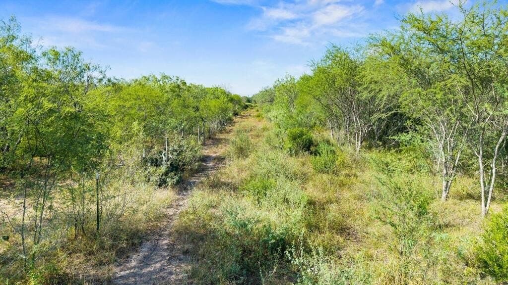 13.15 acres in Jim Wells County - photo 26
